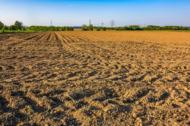 Avviso Terreni Comunali - Zona Piani